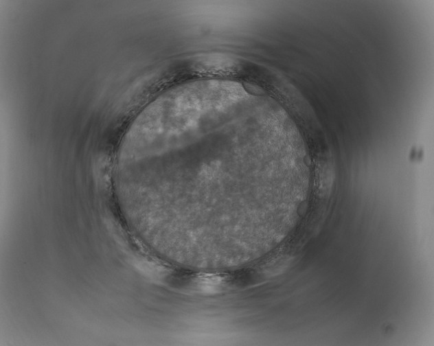 X0000112210701200908211518