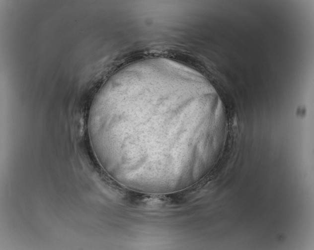 X0000112210703200908211518