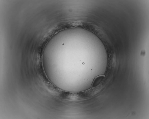 X0000112210704200908211518