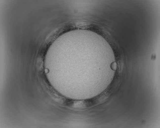 X0000112210705200908211518