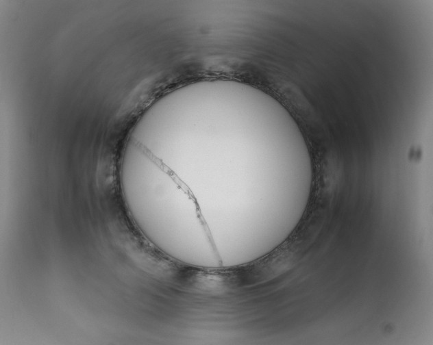 X0000112210706200908211518