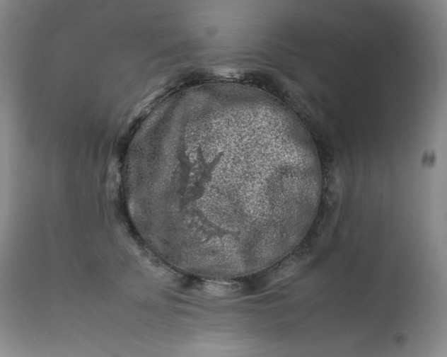 X0000112210707200908211518