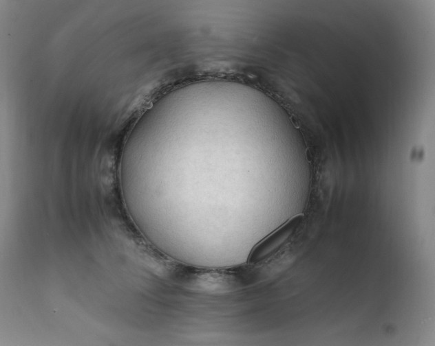 X0000112210708200908211518