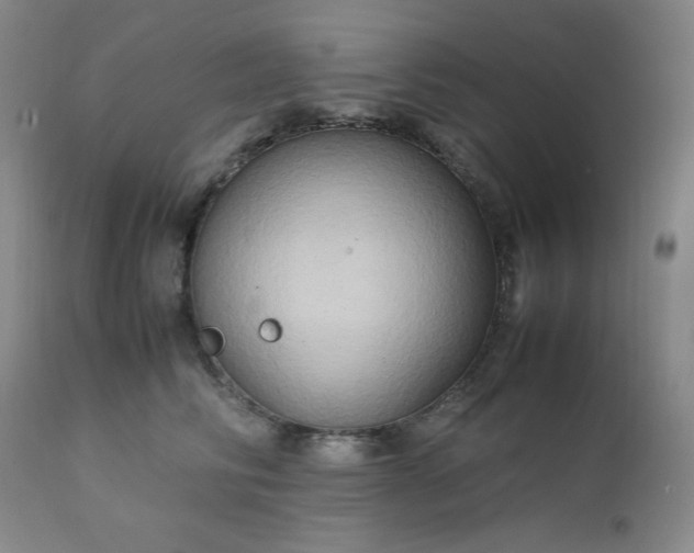 X0000112210710200908211518