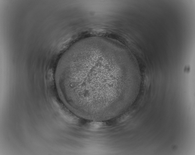 X0000112210711200908211518