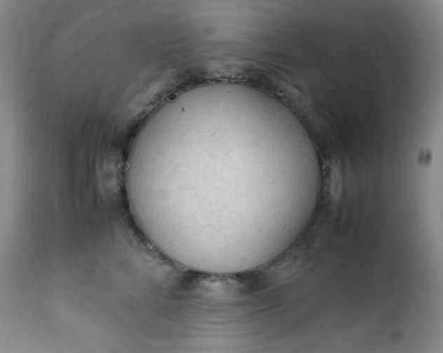 X0000112210712200908211518