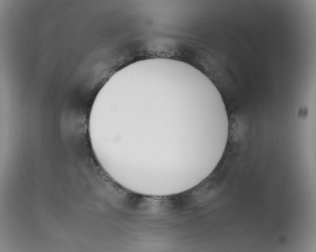 X0000112210713200908211518