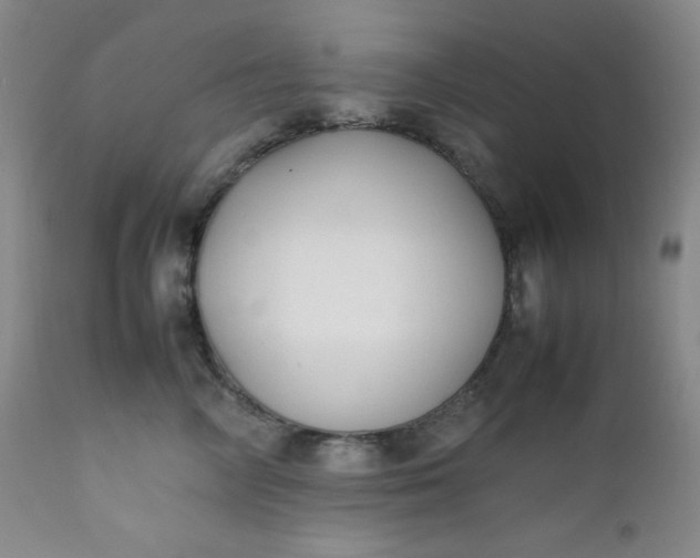 X0000112210714200908211518