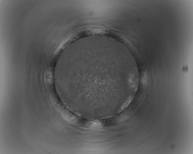 X0000112210715200908211518