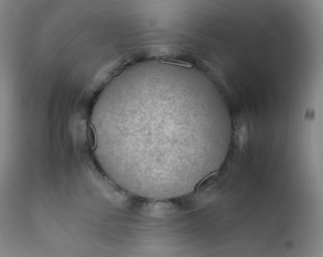 X0000112210716200908211518