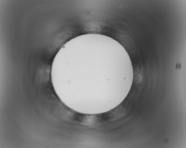 X0000112210717200908211518