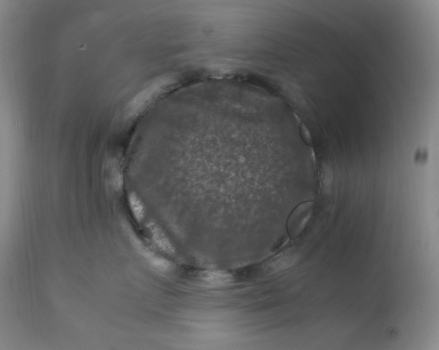 X0000112210719200908211518