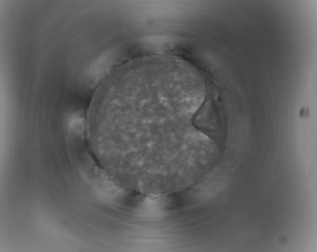 X0000112210720200908211518