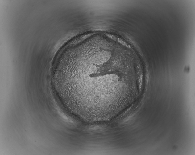 X0000112210721200908211518