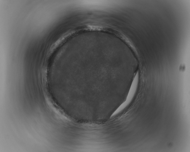 X0000112210722200908211518