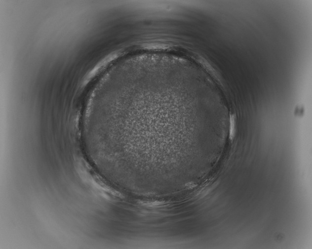 X0000112210723200908211518