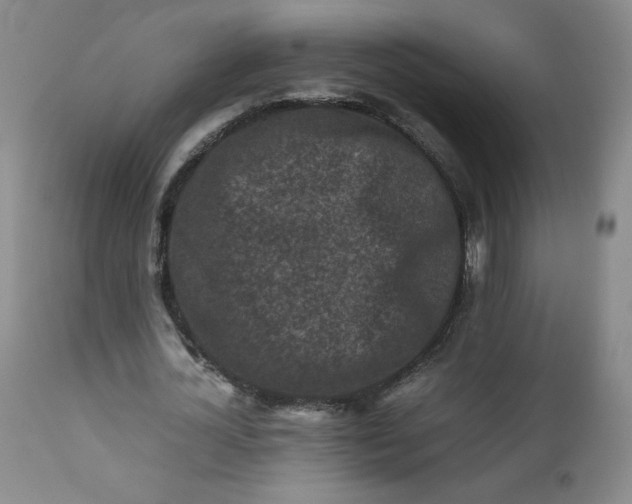 X0000112210724200908211518