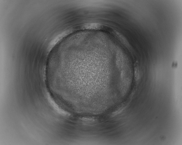 X0000112210725200908211518