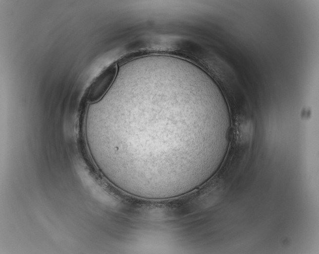 X0000112210726200908211518