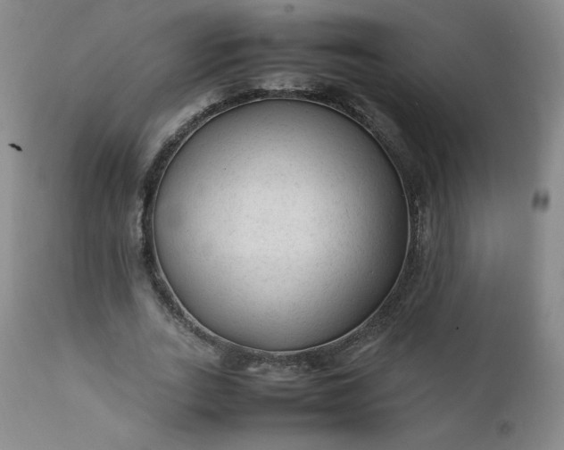 X0000112210727200908211518