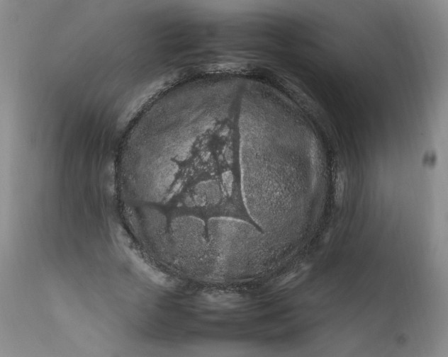 X0000112210729200908211518