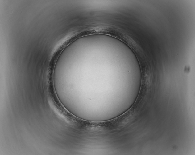 X0000112210730200908211518