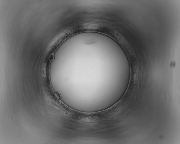 X0000112210731200908211518