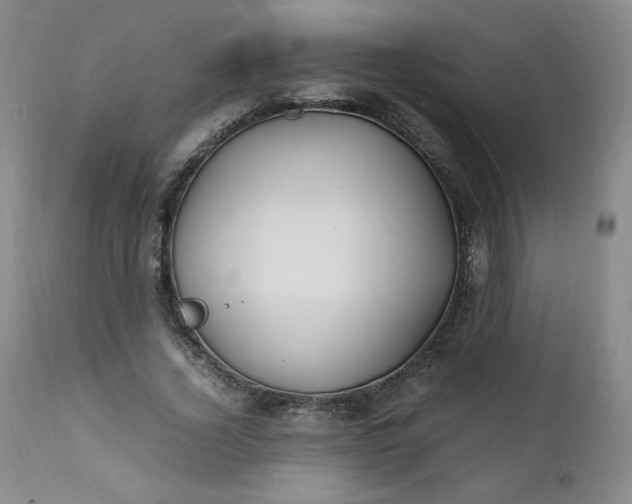 X0000112210732200908211518