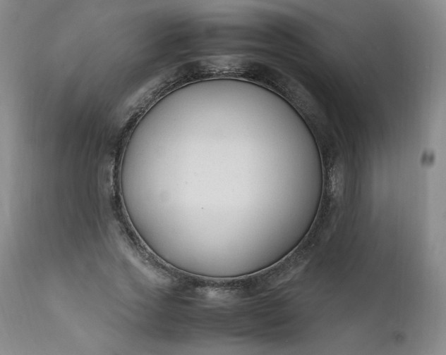 X0000112210733200908211518