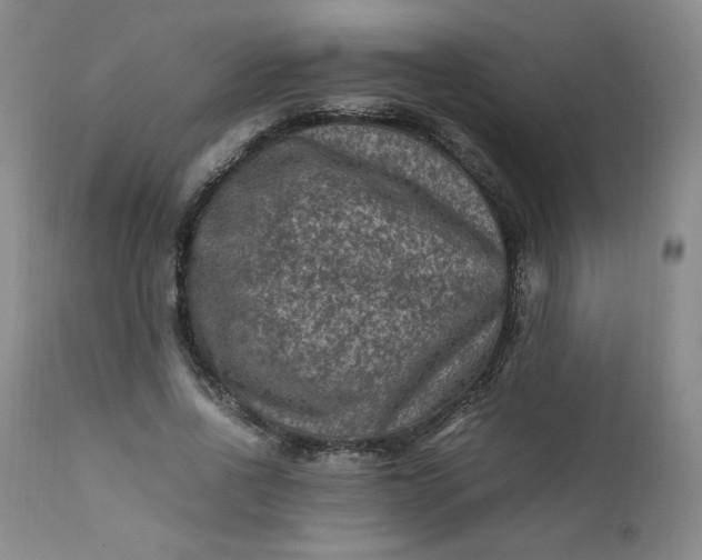 X0000112210734200908211518