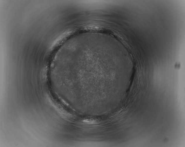 X0000112210735200908211518