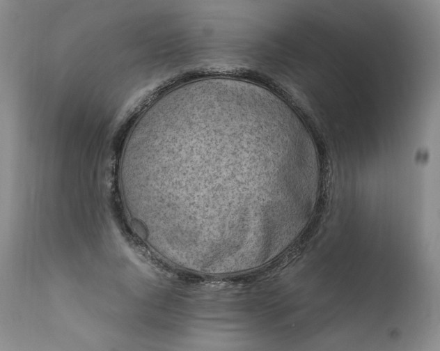 X0000112210736200908211518