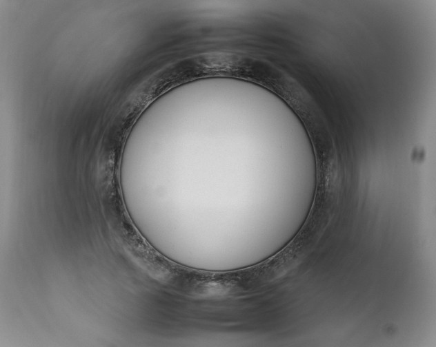 X0000112210737200908211518