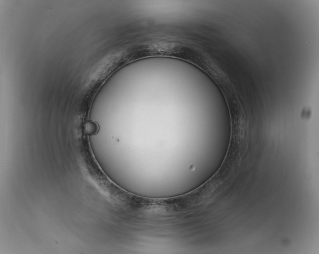 X0000112210738200908211518