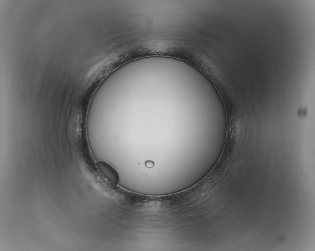 X0000112210740200908211518