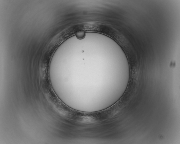 X0000112210741200908211518