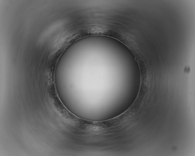 X0000112210743200908211518