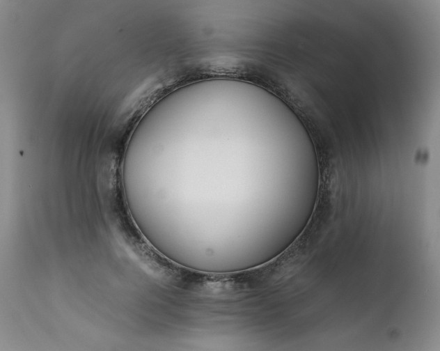 X0000112210744200908211518