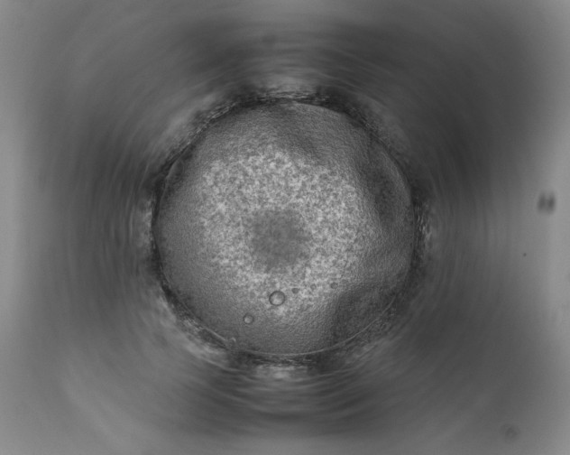 X0000112210745200908211518