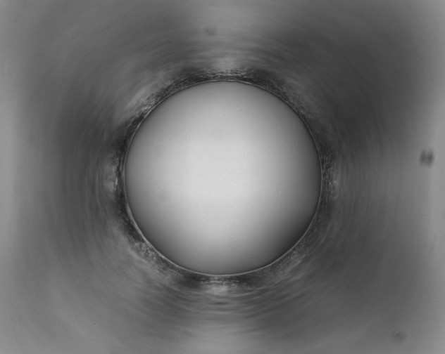 X0000112210746200908211518