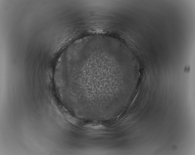 X0000112210747200908211518