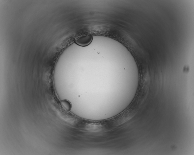 X0000112210749200908211518