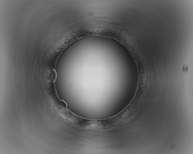 X0000112210750200908211518