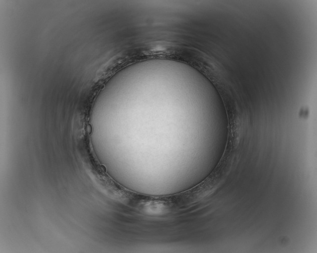 X0000112210751200908211518