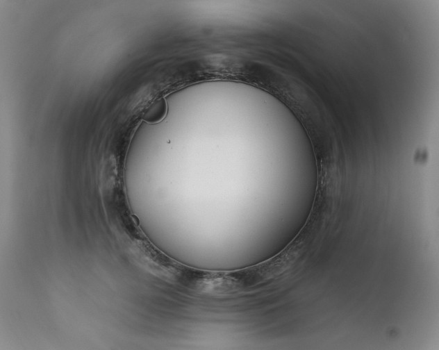 X0000112210752200908211518