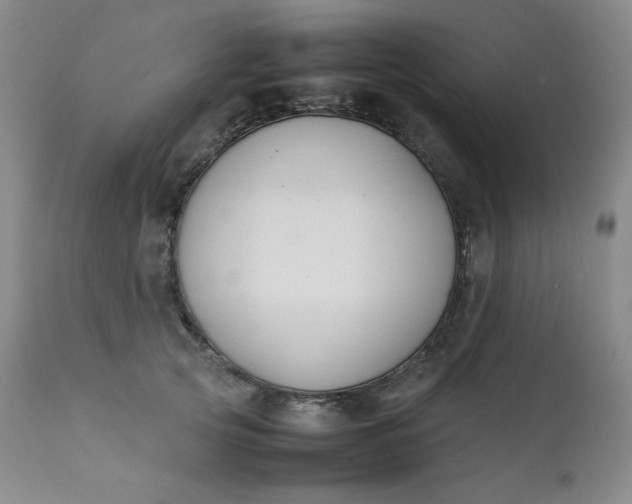 X0000112210753200908211518