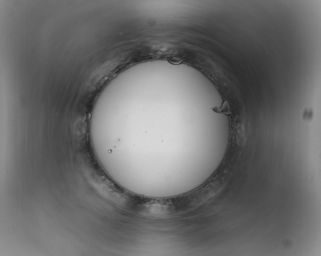 X0000112210756200908211518