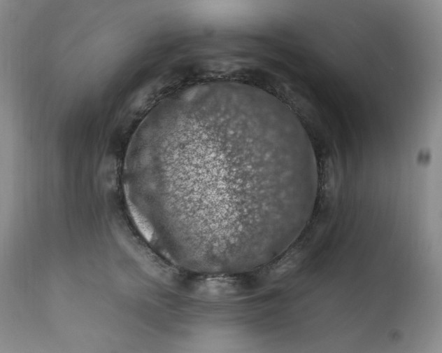 X0000112210758200908211518