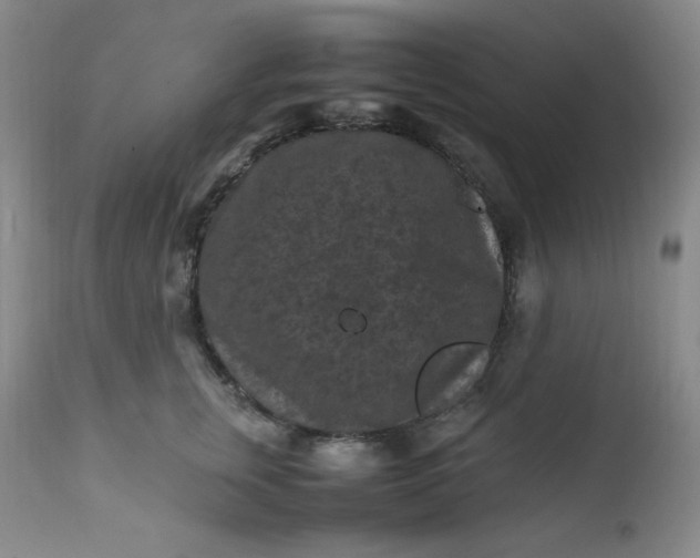 X0000112210759200908211518