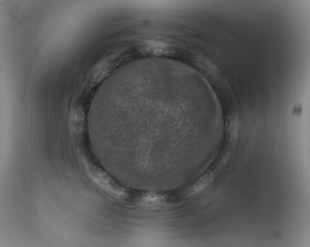 X0000112210760200908211518